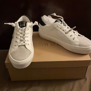 Steve Madden Sneakers